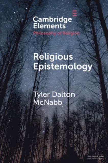 Tyler Dalton McNabb - Religious Epistemology, E-bok