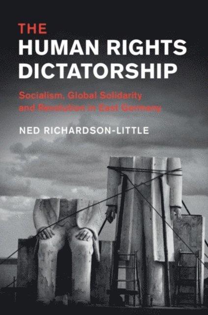 Ned Richardson-Little - Human Rights Dictatorship, E-bok