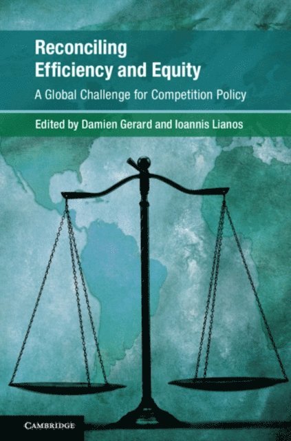 Ioannis Lianos, Damien Gerard - Reconciling Efficiency and Equity, E-bok