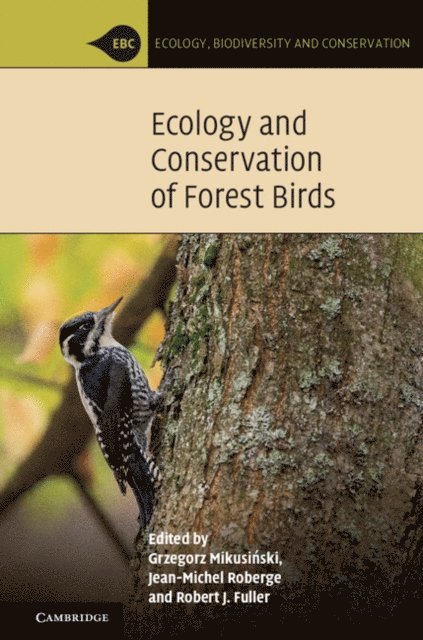 Robert J. Fuller, Jean-Michel Roberge, Grzegorz Mikusinski - Ecology and Conservation of Forest Birds, E-bok