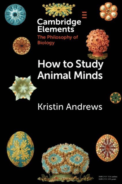 Kristin Andrews - How to Study Animal Minds, E-bok