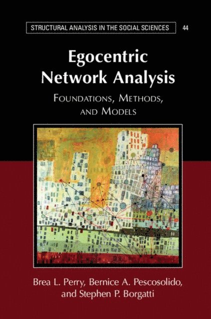 Stephen P. Borgatti, Bernice A. Pescosolido, Brea L. Perry - Egocentric Network Analysis, E-bok