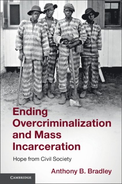 Anthony B. Bradley - Ending Overcriminalization and Mass Incarceration, E-bok