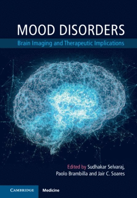 Jair C. Soares, Paolo Brambilla, Sudhakar Selvaraj - Mood Disorders, E-bok