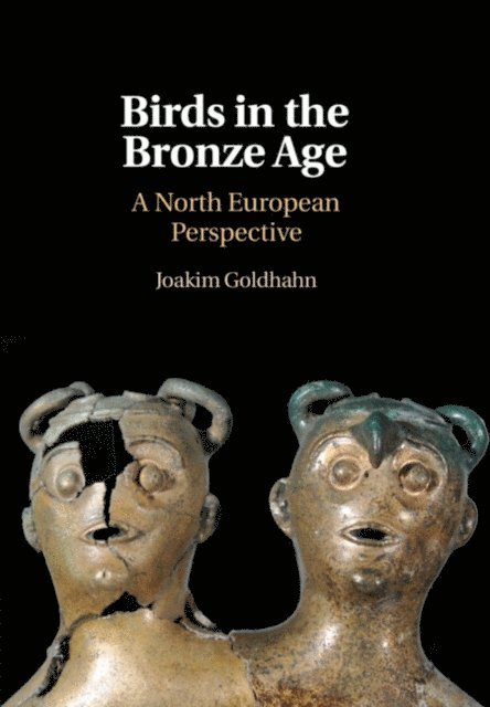 Joakim Goldhahn - Birds in the Bronze Age, E-bok