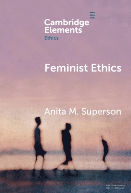 Anita M. Superson - Feminist Ethics, E-bok