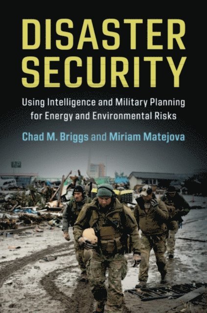 Miriam Matejova, Chad M. Briggs - Disaster Security, E-bok