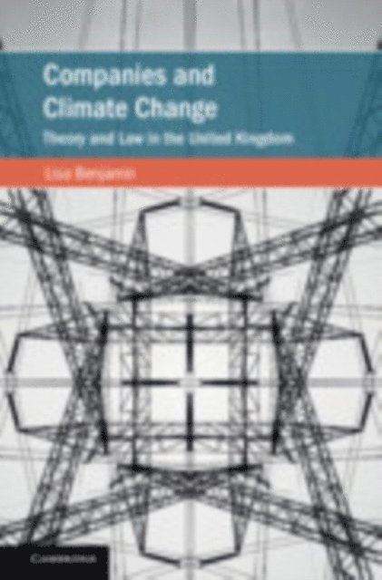 Lisa Benjamin - Companies and Climate Change, E-bok