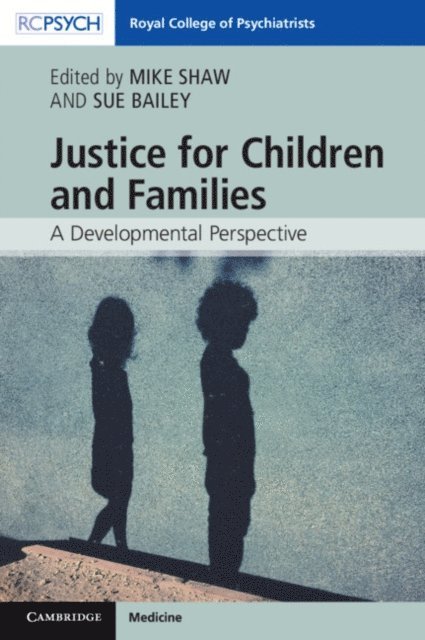 Sue Bailey, Mike Shaw - Justice for Children and Families, E-bok