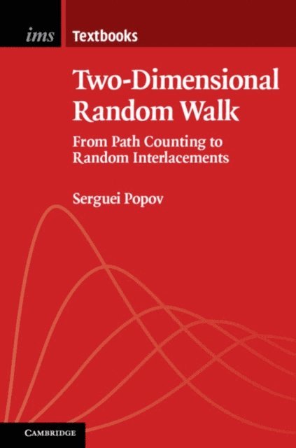 Serguei Popov - Two-Dimensional Random Walk, E-bok