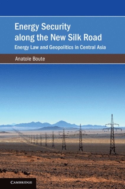 Anatole Boute - Energy Security along the New Silk Road, E-bok