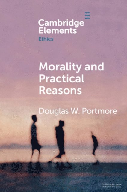Douglas W. Portmore - Morality and Practical Reasons, E-bok