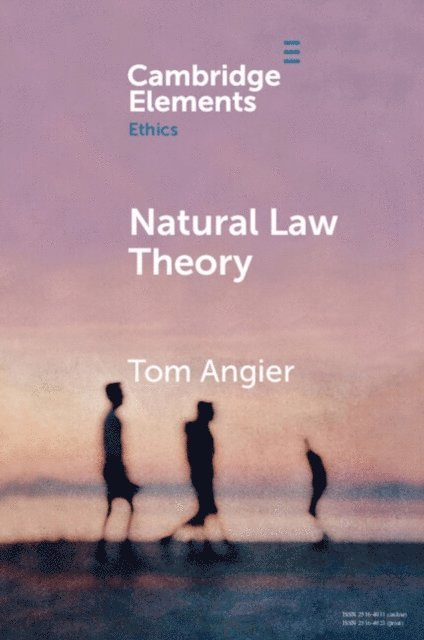 Tom Angier - Natural Law Theory, E-bok