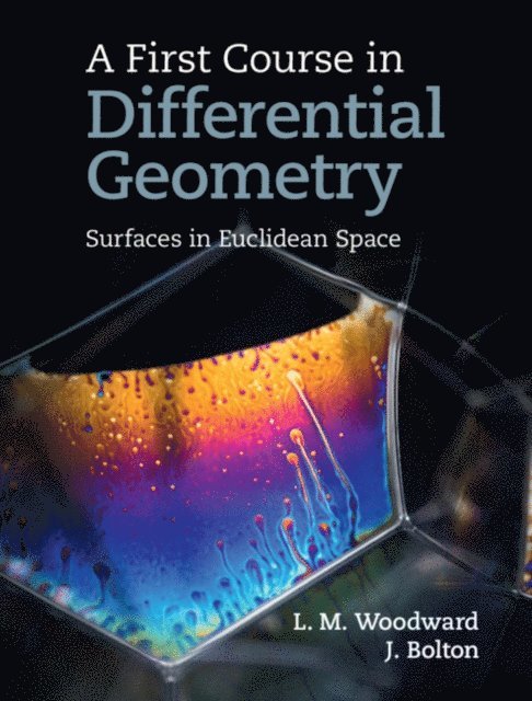 John Bolton, Lyndon Woodward - First Course in Differential Geometry, E-bok