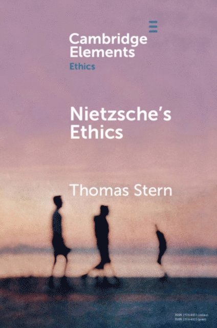 Thomas Stern - Nietzsche's Ethics, E-bok