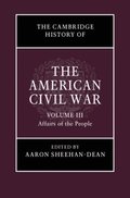 Cambridge History of the American Civil War: Volume 3, Affairs of the People