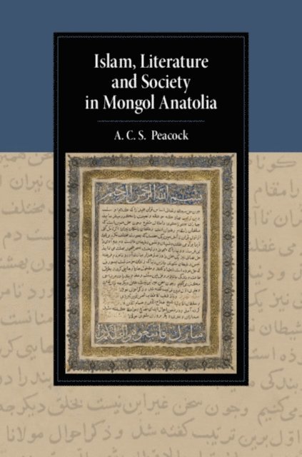 A. C. S. Peacock - Islam, Literature and Society in Mongol Anatolia, E-bok