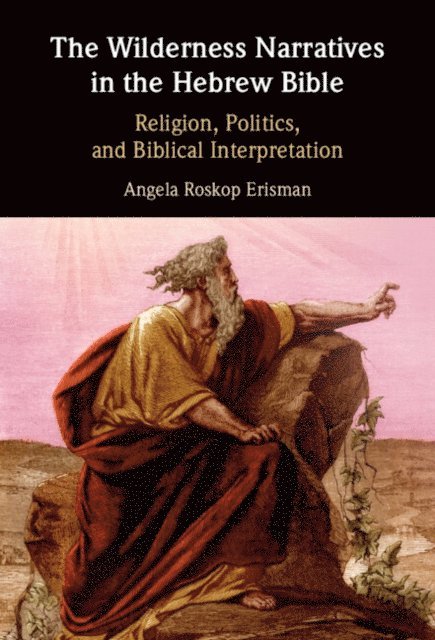 Angela Roskop Erisman - Wilderness Narratives in the Hebrew Bible, E-bok