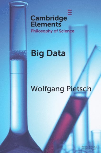 Wolfgang Pietsch - Big Data, E-bok