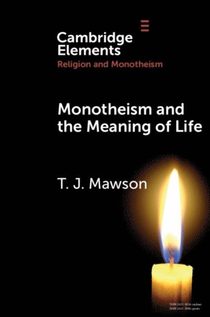 T. J. Mawson - Monotheism and the Meaning of Life, E-bok