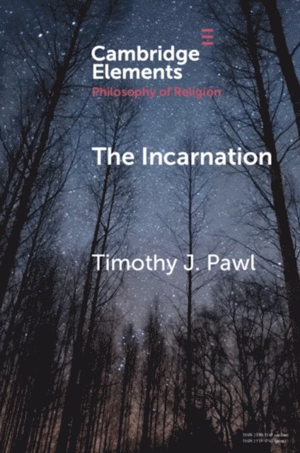 Timothy J. Pawl - Incarnation, E-bok