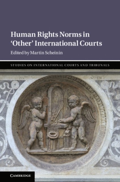 Martin Scheinin - Human Rights Norms in 'Other' International Courts, E-bok