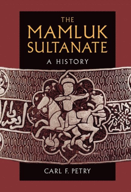 Carl F. Petry - Mamluk Sultanate, E-bok
