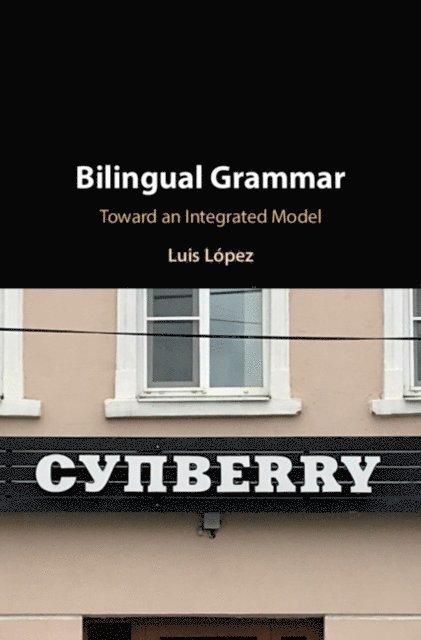 Luis Lopez - Bilingual Grammar, E-bok