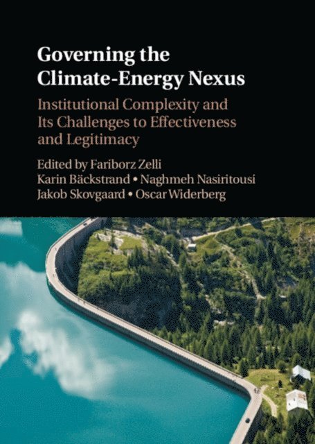 Oscar Widerberg, Jakob Skovgaard, Naghmeh Nasiritousi, Karin Backstrand, Fariborz Zelli - Governing the Climate-Energy Nexus, E-bok