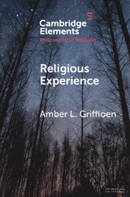 Amber L. Griffioen - Religious Experience, E-bok