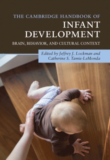 Catherine S. Tamis-LeMonda, Jeffrey J. Lockman - Cambridge Handbook of Infant Development, E-bok
