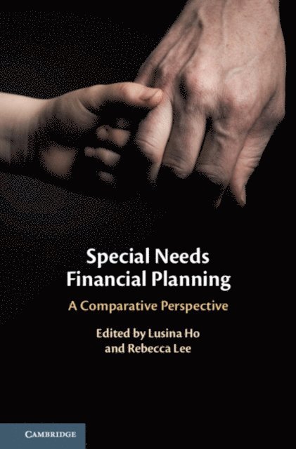 Rebecca Lee, Lusina Ho - Special Needs Financial Planning, E-bok