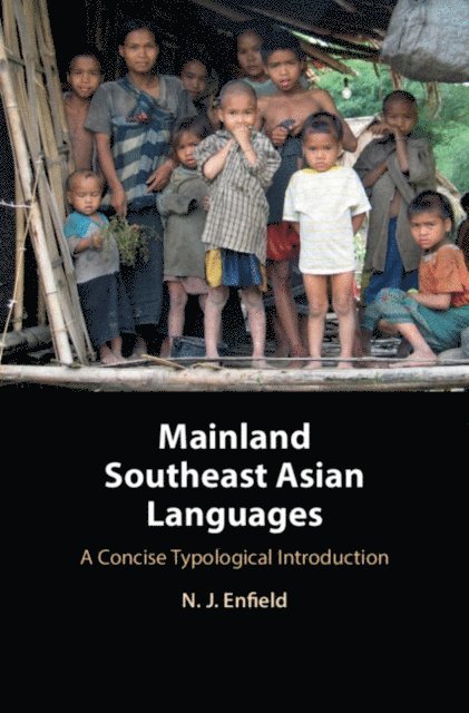 N. J. Enfield - Mainland Southeast Asian Languages, E-bok