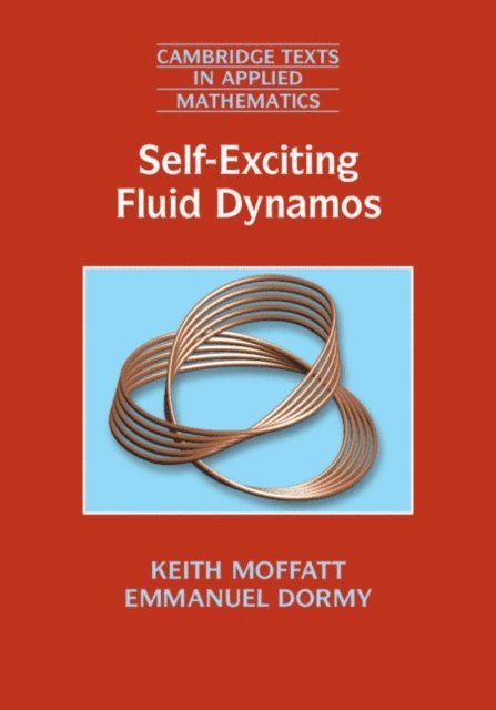 Emmanuel Dormy, Keith Moffatt - Self-Exciting Fluid Dynamos, E-bok