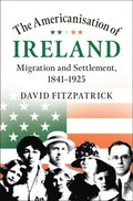 Americanisation of Ireland