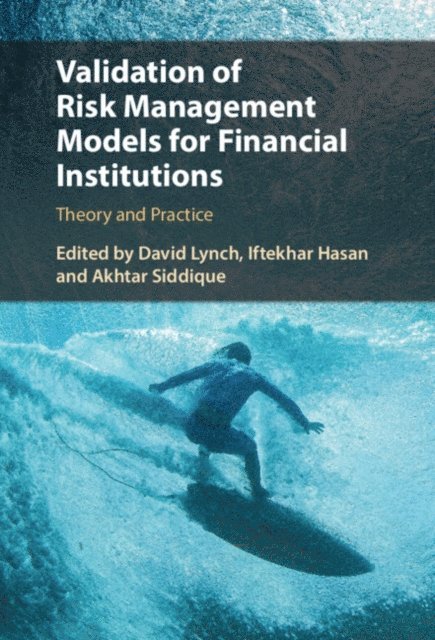 Akhtar Siddique, Iftekhar Hasan, David Lynch - Validation of Risk Management Models for Financial Institutions, E-bok
