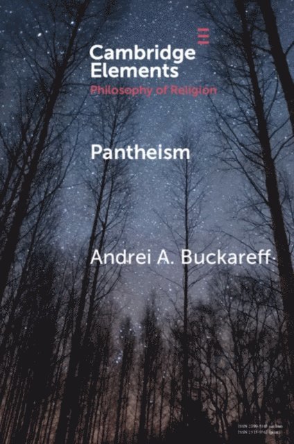 Andrei A. Buckareff - Pantheism, E-bok