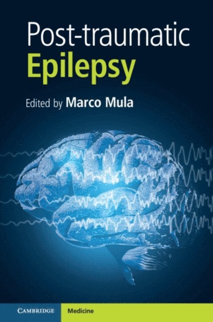 Marco Mula - Post-traumatic Epilepsy, Part 1, E-bok