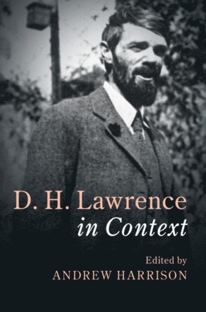 Andrew Harrison - D. H. Lawrence In Context, E-bok
