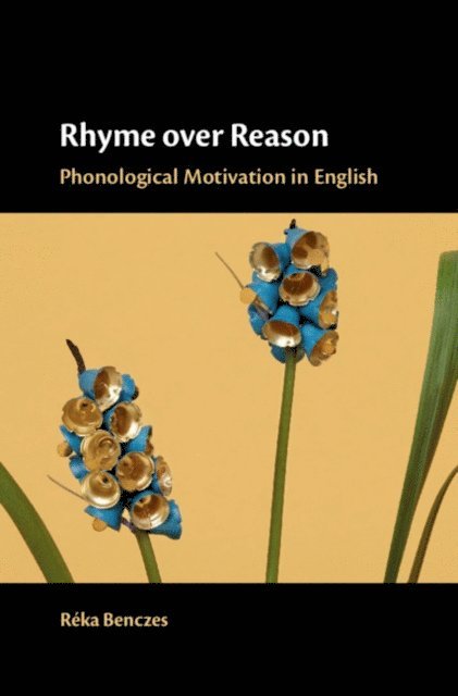 Reka Benczes - Rhyme over Reason, E-bok