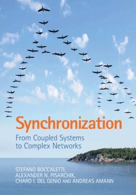 Andreas Amann, Charo I. del Genio, Alexander N. Pisarchik, Stefano Boccaletti - Synchronization, E-bok