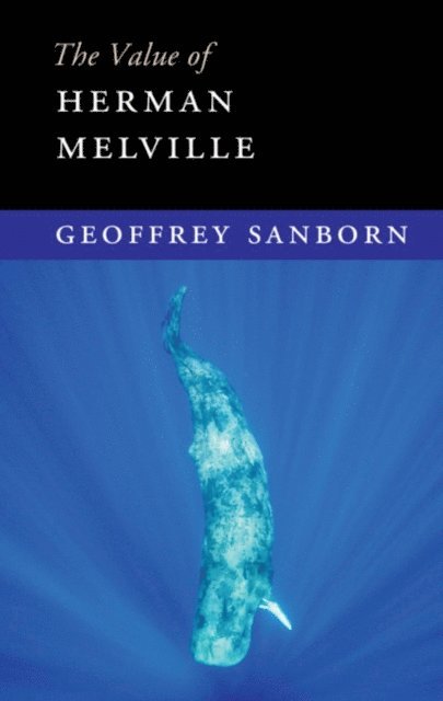 Geoffrey Sanborn - Value of Herman Melville, E-bok