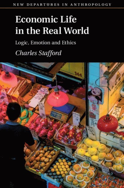 Charles Stafford - Economic Life in the Real World, E-bok