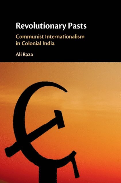 Ali Raza - Revolutionary Pasts, E-bok