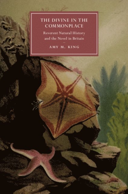 Amy M. King - Divine in the Commonplace, E-bok