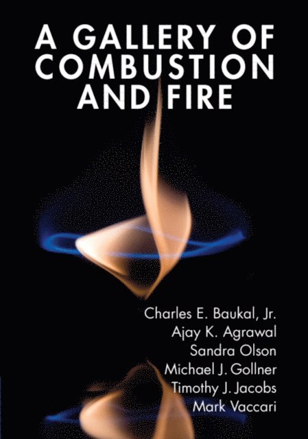 Jr. Charles E. Baukal, Mark Vaccari, Timothy J. Jacobs, Michael J. Gollner, Sandra Olson, Ajay K. Agarwal - Gallery of Combustion and Fire, E-bok