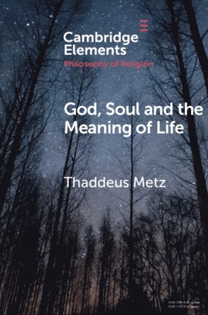 Thaddeus Metz - God, Soul and the Meaning of Life, E-bok