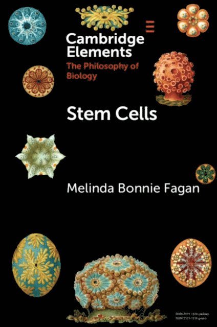 Melinda Bonnie Fagan - Stem Cells, E-bok