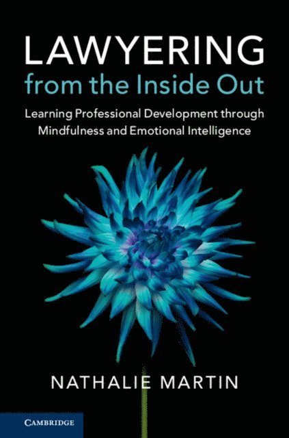 Nathalie Martin - Lawyering from the Inside Out, E-bok