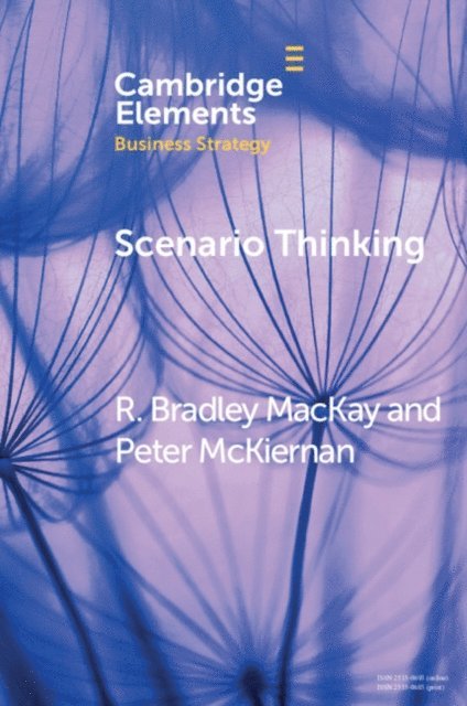 Peter McKiernan, R. Bradley MacKay - Scenario Thinking, E-bok